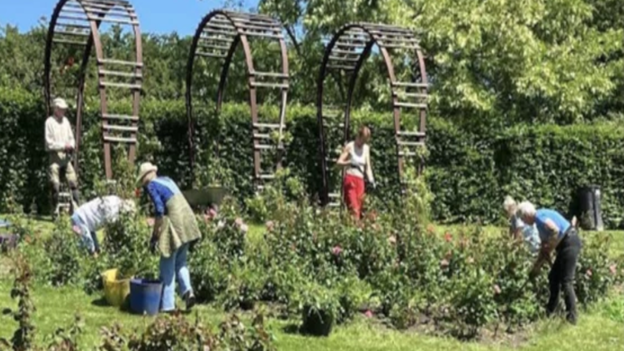 Sæsonstart i Botanisk Have