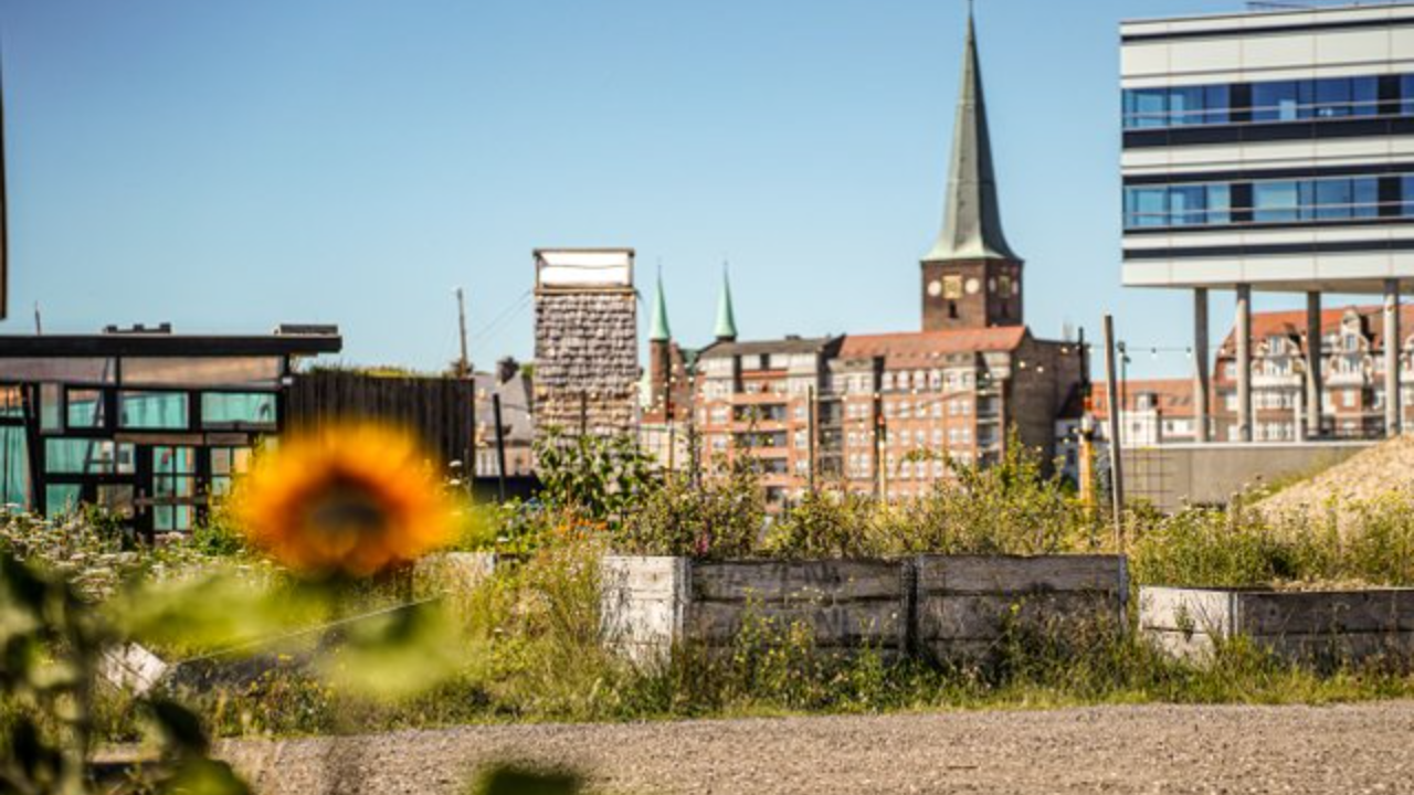 Aarhus Kommune